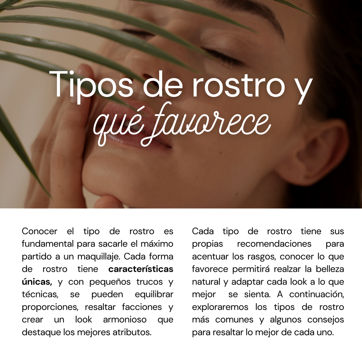 Manual de Maquillaje para Principiantes: Guía Básica Paso a Paso para Lucir Radiante